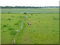 Fields on the site of the old Langley ironstone quarry