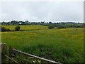 Grass fields to the houses on the "Old Road"