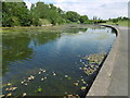 The lake in Barking Park