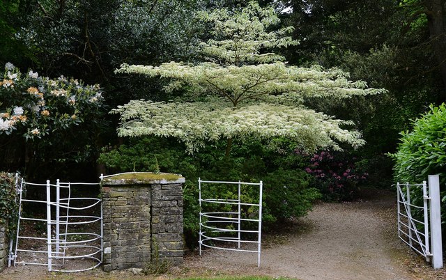 Trewithen House and Garden: The "Kissing Gate"