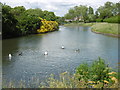 The lake in Goodmayes Park