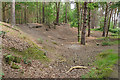 TQ0060 : Former sandpits, Horsell Common by Alan Hunt
