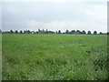 Farmland off Twemlow Lane