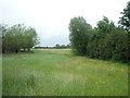 Grassland off Main Road, Goostrey