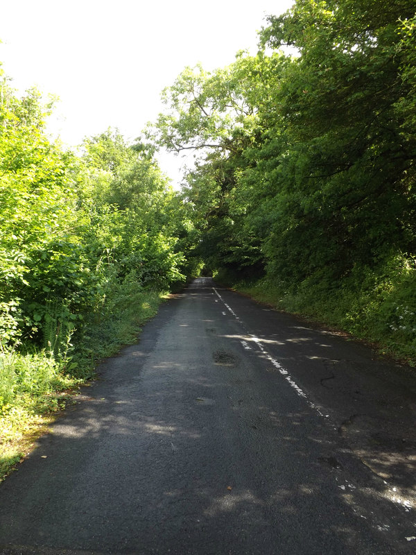 Cycleway to the A140 Norwich Road © Geographer cc-by-sa/2.0 :: Geograph ...