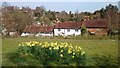 Cottages near St Catherine