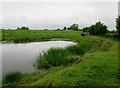 Field  pond  and  River  Aire  flood  bank