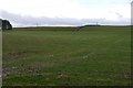 Pasture near Stouslie