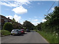 TM0849 : Hall Lane near Wentworth Close by Geographer