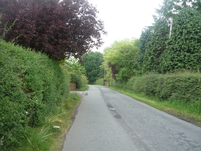 Snelson Lane