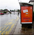 ST3090 : Zingy portrayal on an EDF Energy advert, Malpas Road, Newport by Jaggery