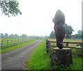 Track to Warford House 