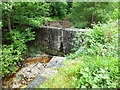 A stone dam and sluice gate