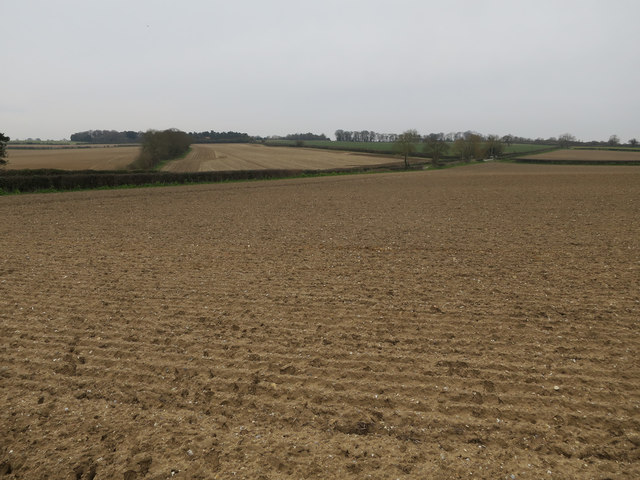 Field by Wiveton Down