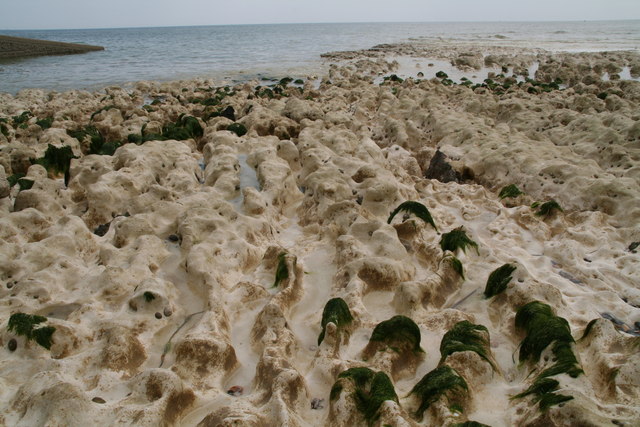 Chalk sea bed erosion, foot of the sea wall in Friars' Bay, Peacehaven