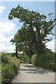 Lane near Copperwalls