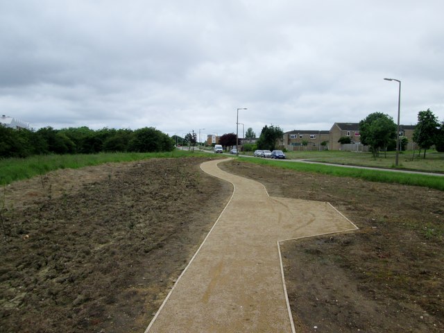 New  path  and  landscaped  shrub  planting