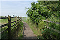 TQ0372 : Footpath to Staines Moor by Alan Hunt
