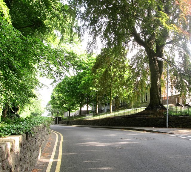 View North along Towerhill Road