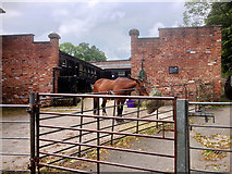 SD8304 : Heaton Park, The Stables by David Dixon