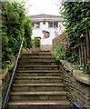 Steps up to Summerhill Veterinary Centre, Newport