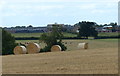 Farmland near Borough Farm