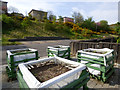 NS2875 : Belville Community Garden by Thomas Nugent