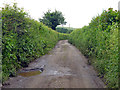 Bottom House Farm Lane