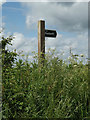TM0847 : Footpath sign off Flowton Road by Geographer