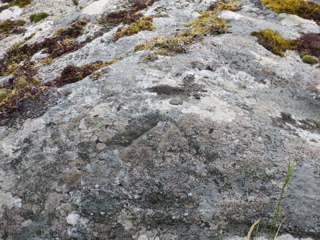 Rivet on rock near Bruairnis, Barra