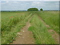 Bridleway near Aunsby