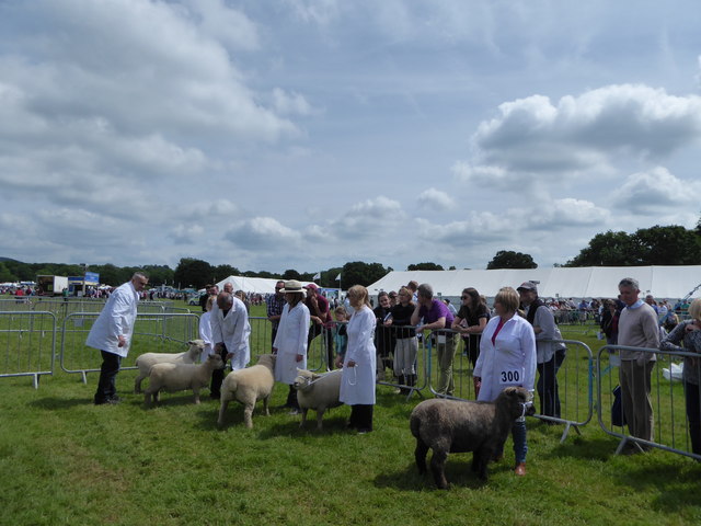 A wonderful day at the Cranleigh Show (3)