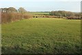 Field, Corfcott Green