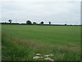 NY3752 : Farmland off Dalston Road (B5299) by JThomas