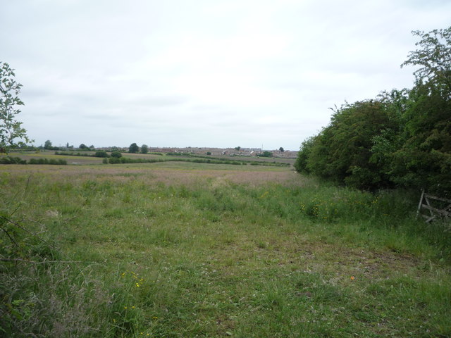 Farmland off Peter Lane
