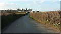 Road past Davies Farm