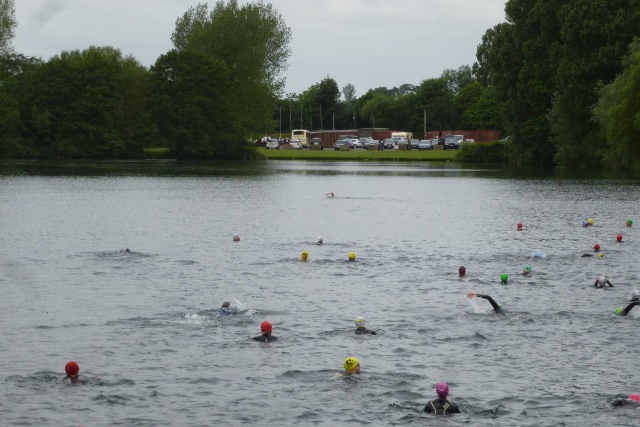 Swimmers in the lake
