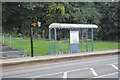 Bamforth Street Tram Stop