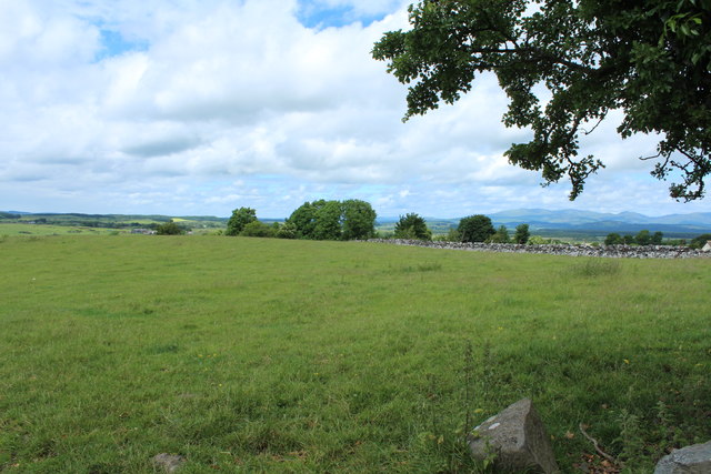 Farmland at Wigtown