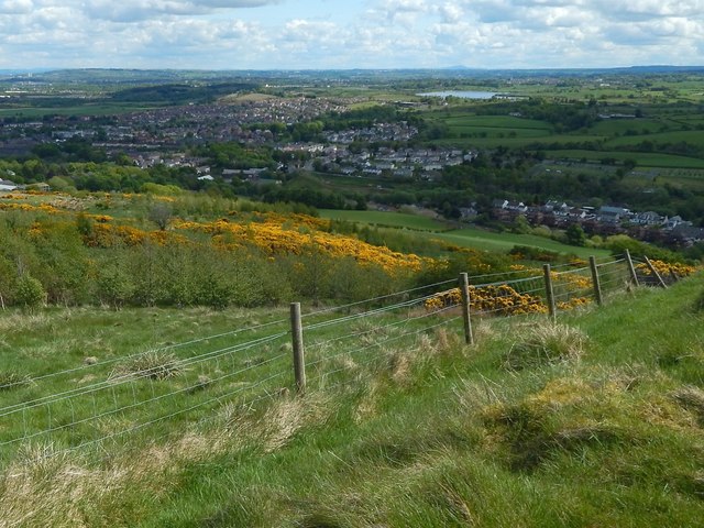 Fence beside path to Killoch Glen