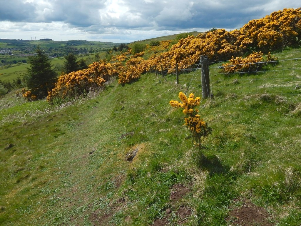 Path To Killoch Glen © Lairich Rig Geograph Britain And Ireland