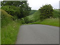 Steep Hill near Jubilee Lodge Farm