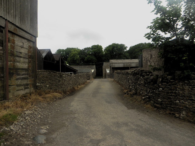 Road through Bridekirk Hall farm