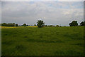 Wide open fields between Audlem and Hankelow