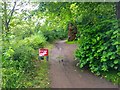 Medway Footpath, Maidstone