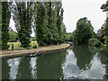 River Lea, Ware, Hertfordshire