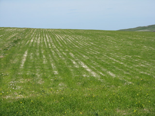 Grass field at Knock Eaval