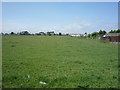 Grazing, Silloth