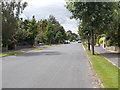 Almsford Avenue - viewed from Almsford Road