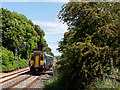 156512 approaching Bardon Mill station - June 2016